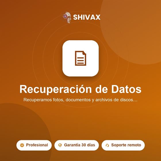 Servicio de recuperación de datos
